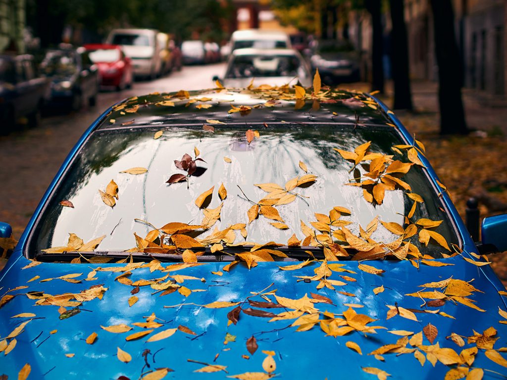Autoschade herfst