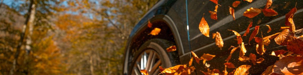 Ieder seizoen brengt weer nieuwe uitdagingen met zich mee. Autoschade ligt op de loer… En daarom geven onze vakmensen een aantal tips & tricks om veilig door de herfst heen te rijden!